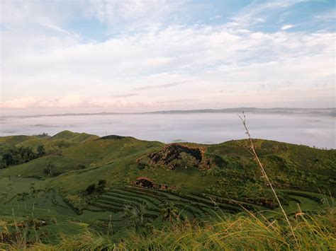BOHOL SEA OF CLOUDS DANAO (MT. PUNTAAS) .